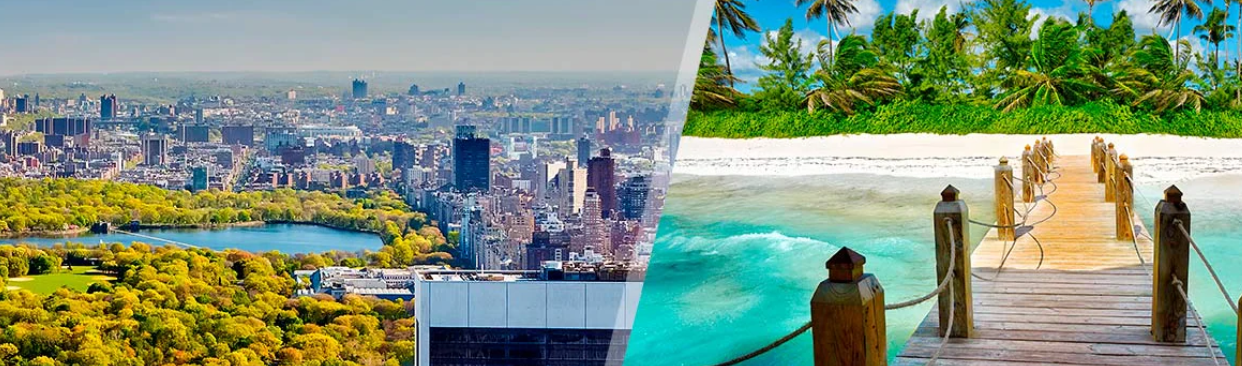 nueva york y punta cana